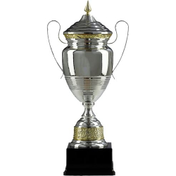 Pohár s krytom strieborno-zlatý1072