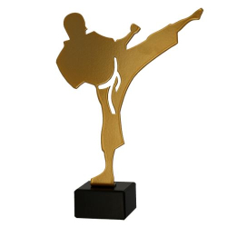 Figúrka Kovová Karate ML-KAR